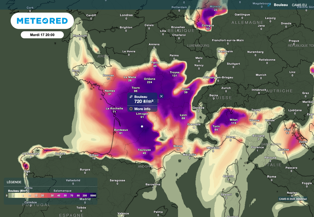 Beaucoup de pollens de bouleaux pour la journée de mardi.
