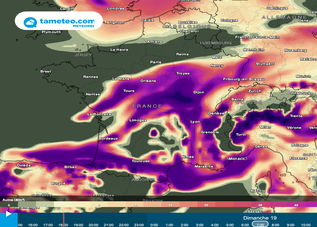 En matinée de dimanche, les pollens seront très présent sur une large moitié Sud de la France. Après le passage d'un air plus océanique, baisse provisoire dans le quart Nord-Ouest. En matinée de dimanche, les pollens seront très présent sur une large moitié Sud de la France. Après le passage d'un air plus océanique, baisse provisoire dans le quart Nord-Ouest.