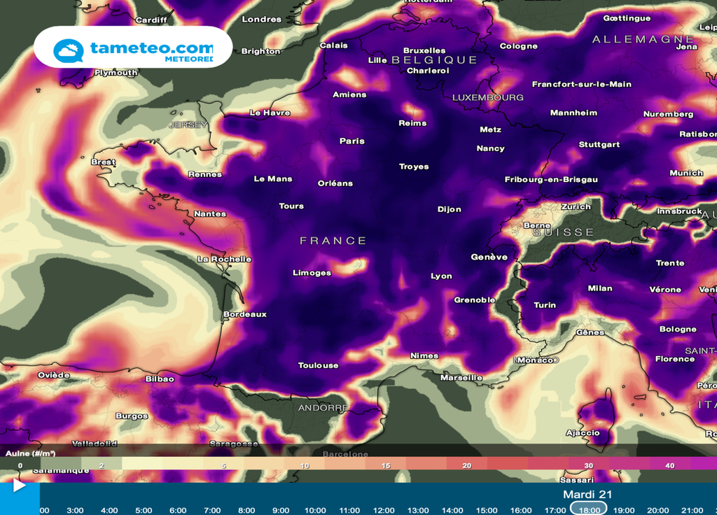 Les pollens d'aulnes seront très présent sur l'ensemble de l'hexagone en début de semaine. Les pollens d'aulnes seront très présent sur l'ensemble de l'hexagone en début de semaine.