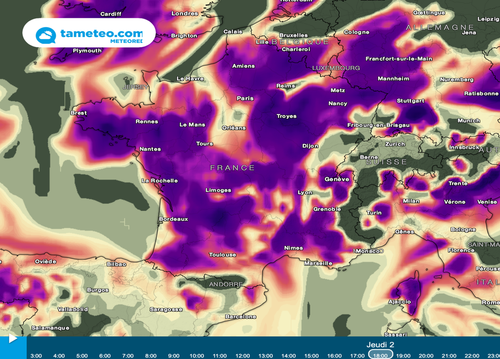 De fortes concentrations en pollens d'aulnes sont prévus pour ces prochains jours sur une très grande partie de la France.