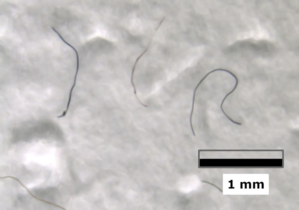 Poluição por microplástico é encontrada no Monte Everest 2 Poluição por microplástico é encontrada no Monte Everest 2