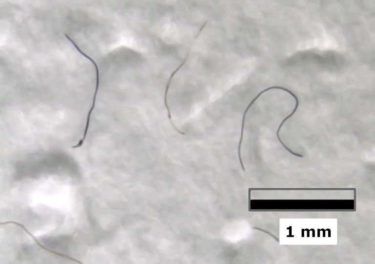 Poluição por microplástico é encontrada no Monte Everest 2 Poluição por microplástico é encontrada no Monte Everest 2