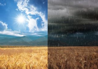 Polvo del Sahara llega al territorio mexicano, mientras se dan tormentas y calor de 50 °C