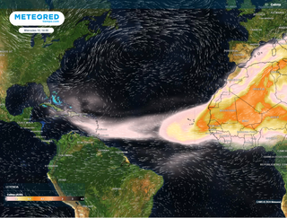 ¿Por qué algunos expertos en huracanes desean que haya invasiones de polvo sahariano en el Atlántico?