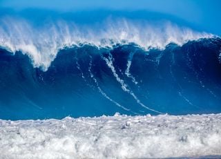 Polynésie française : des vagues de 9 mètres de haut dévastent les îles !
