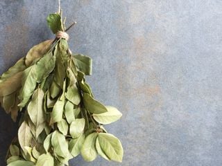 Poner una hoja de laurel seca detr&aacute;s de la puerta de casa: para qu&eacute; sirve seg&uacute;n el Feng Shui