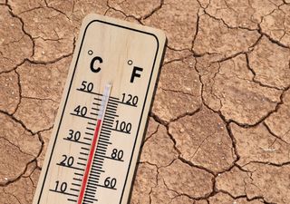 População espanhola está a adaptar-se a temperaturas cada vez mais extremas