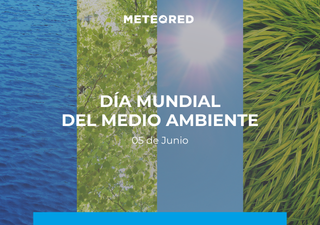 &iexcl;Por el clima YA! La urgente campa&ntilde;a global del D&iacute;a Mundial del Medio Ambiente para frenar la emergencia clim&aacute;tica