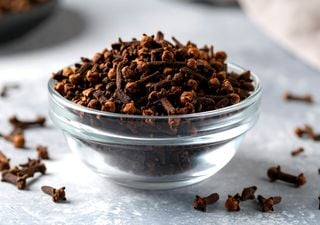 Por esta razón deberías incluir clavo de olor en tu dieta diaria