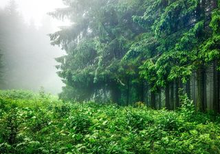 ¿Por fin lloverá en el norte y el Bajío? Fuertes tormentas se extenderán esta semana