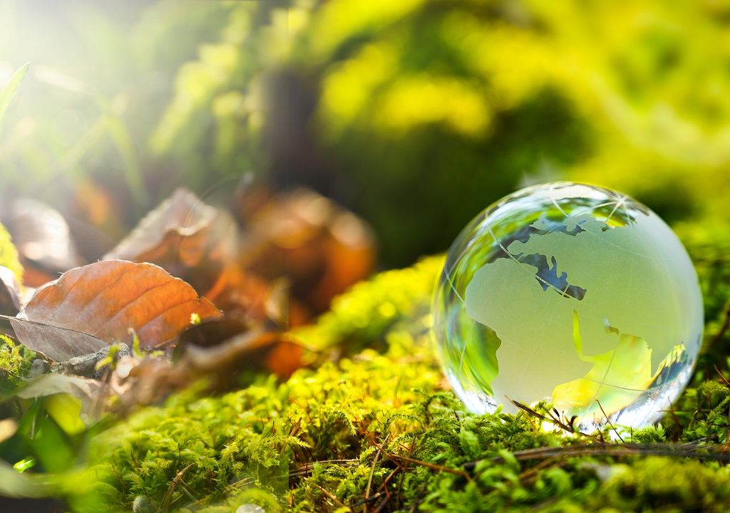 Planeta; verde; biodiversidad; ambiente saludable Planeta; verde; biodiversidad; ambiente saludable