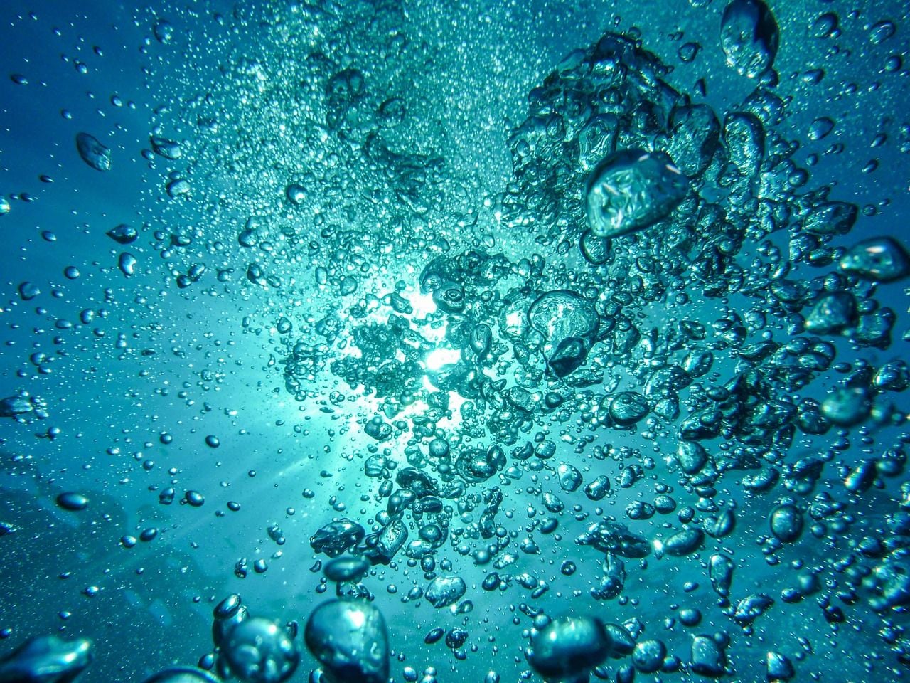 Océanos y mares, nuestros pulmones. Ayudan a regular el clima y proporcionan, entre otros beneficios, oxígeno y alimento.