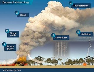 Por primera vez se modelizan adecuadamente las tormentas inducidas por los incendios forestales: los pirocumulonimbus