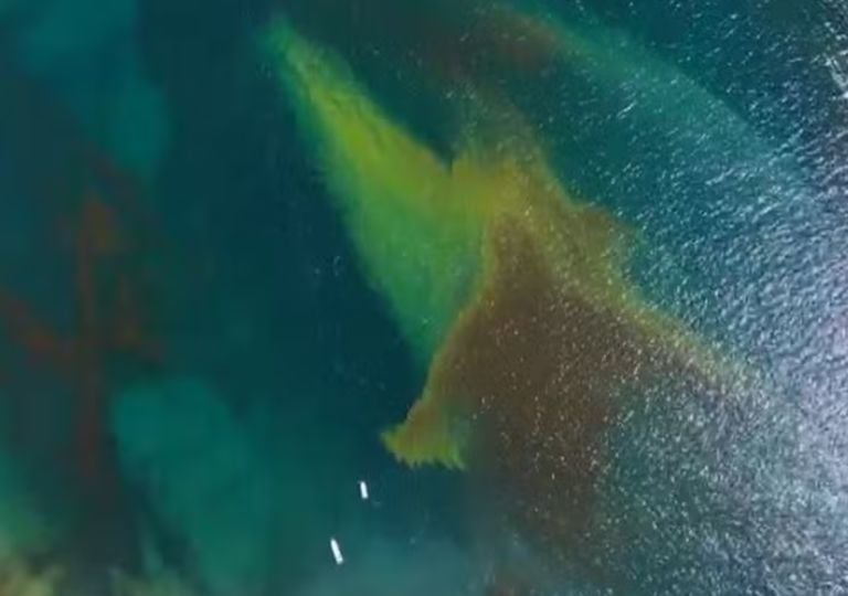 Por que a mancha avermelhada no mar de Ilhabela pode ser perigosa para quem frequenta as praias este m&ecirc;s?