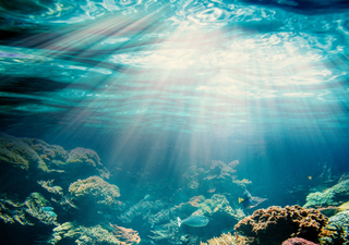 ¿Por qué la presión es tan intensa en el fondo de los océanos? La física lo explica