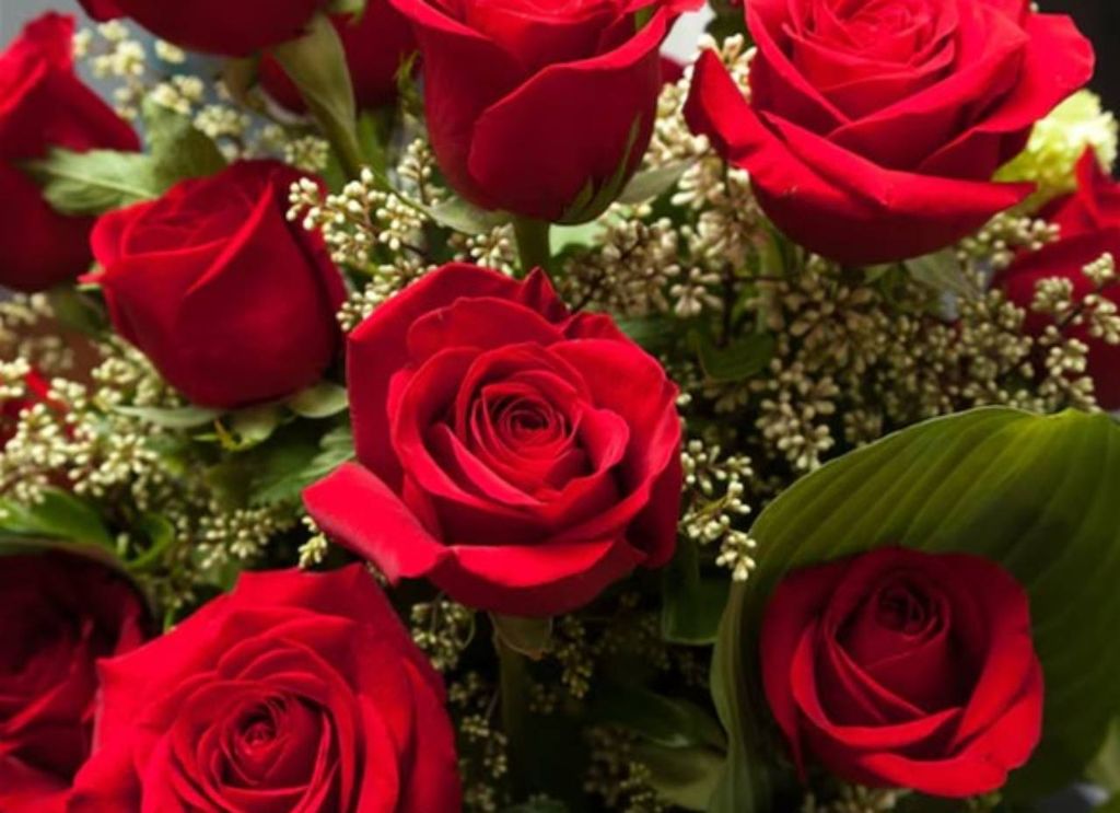 rosas vermelhas