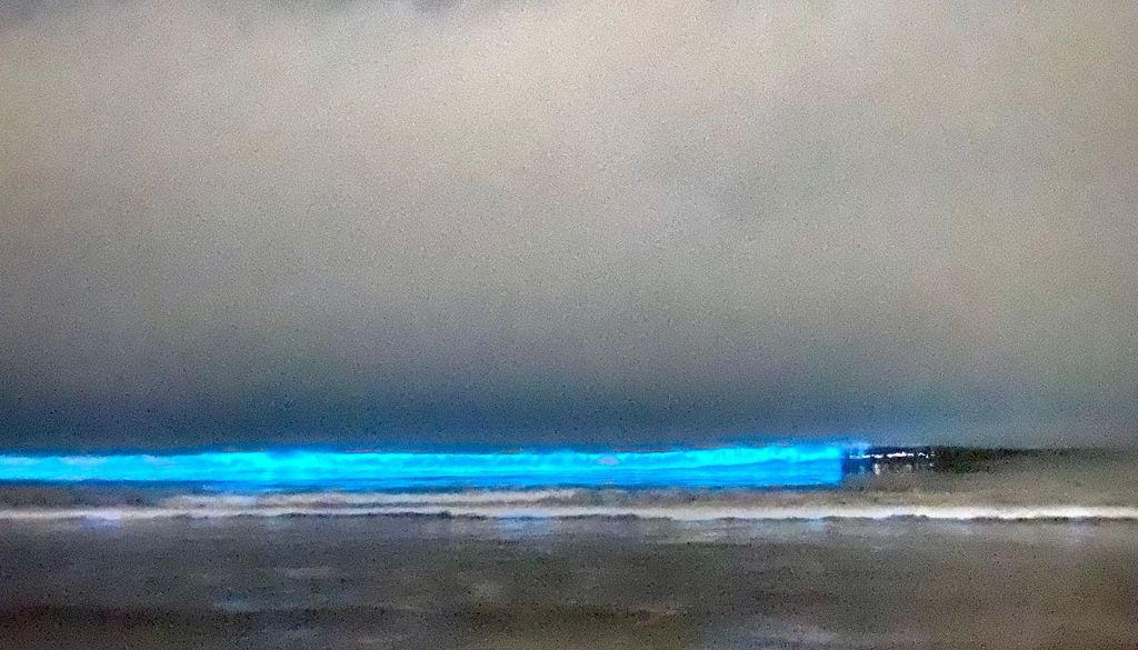 La mejor época para observar el mar de ardora suele abarcar desde finales de mayo hasta septiembre