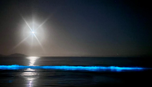 &iquest;Por qu&eacute; brillan las playas del norte de Chile? Las razones detr&aacute;s de este curioso fen&oacute;meno