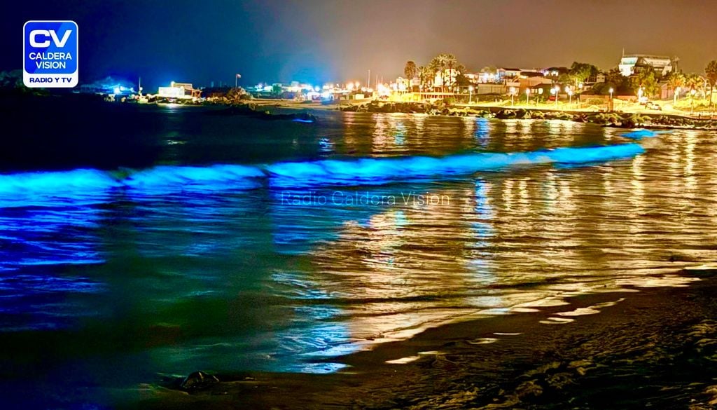 Bioluminiscencia en Playa Las Machas, Región de Atacama. Crédito: Radio Caldera Visión.