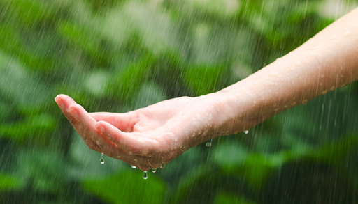 &iquest;Por qu&eacute; el agua moja? La ciencia explica c&oacute;mo interact&uacute;an las mol&eacute;culas al tocar una superficie