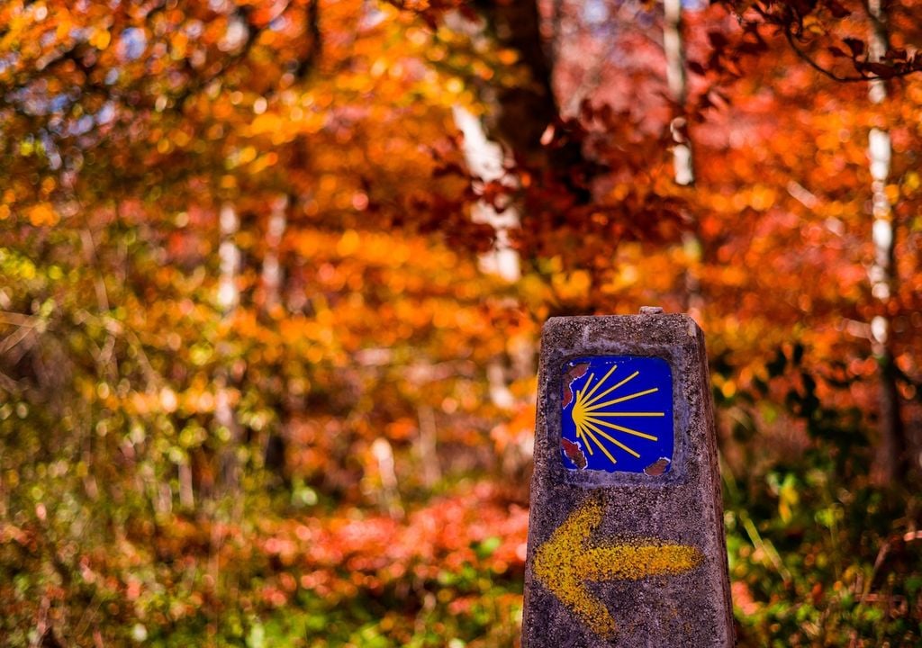 Otoño Camino de Santiago