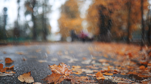 Por qu&eacute; el oto&ntilde;o es una de las &eacute;pocas m&aacute;s lluviosas del a&ntilde;o en M&eacute;xico, explicado por la ciencia
