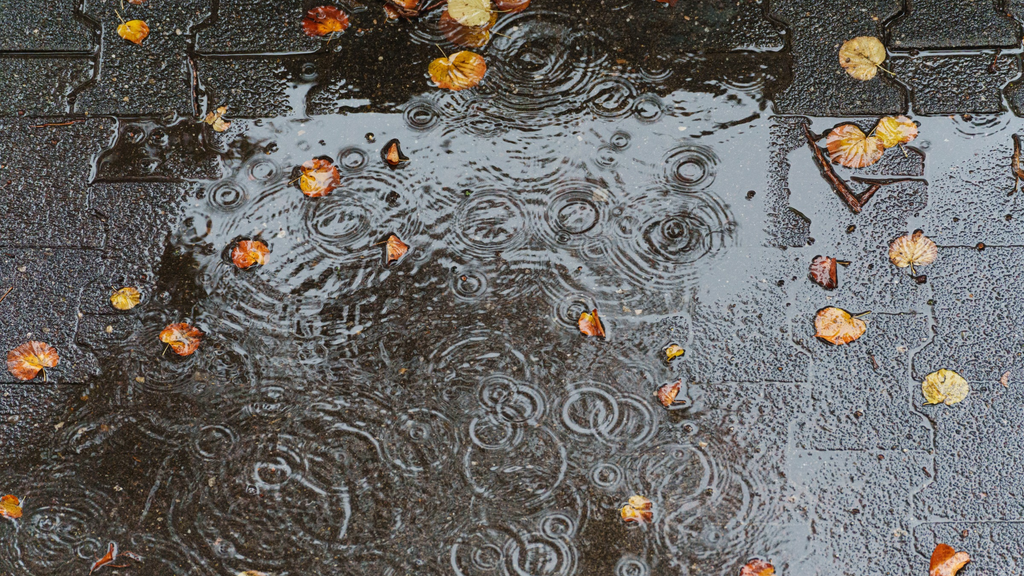Durante el otoño todavía pueden presentarse lluvias fuertes o torrenciales por ciclones, frentes fríos, ondas tropicales o su combinación.