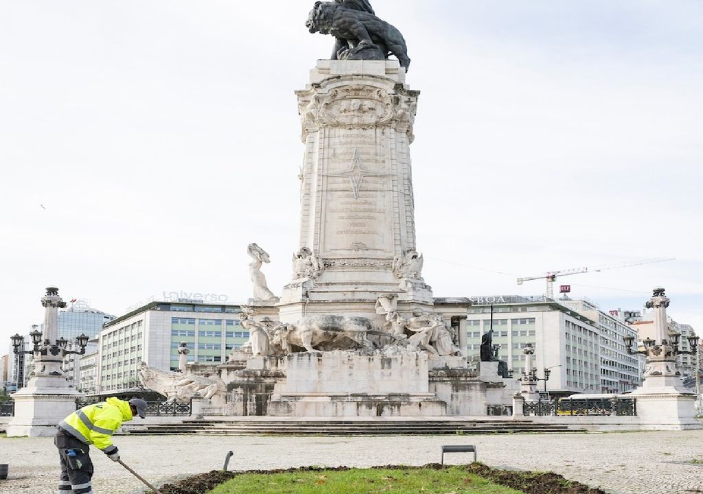 Plantação de Amores-perfeitos na Rotunda do Marquês de Pombal, em Lisboa