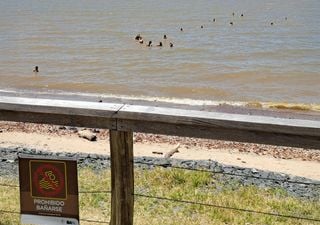 ¿Por qué está prohibido bañarse en el Río de la Plata frente a la costa de Buenos Aires?