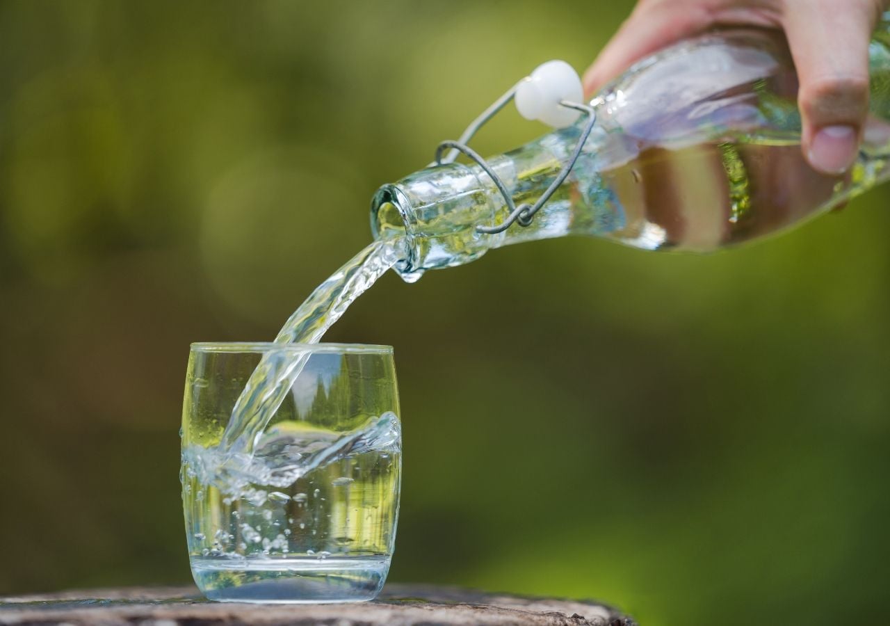 Un pequeño secreto casero puede transformar tu jardín: raíces más fuertes, suelo aireado y plantas saludables.