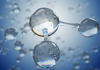 Por qué este líquido que guardás en tu botiquín puede ser un milagro para tus plantas y tu jardín