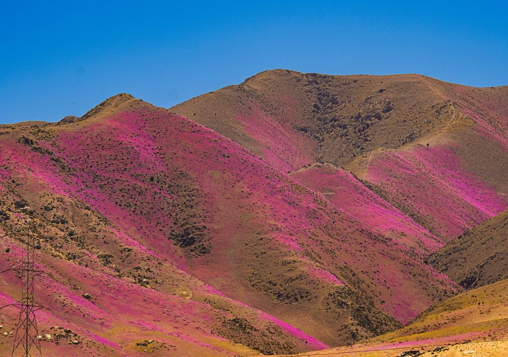 Deserto Atacama