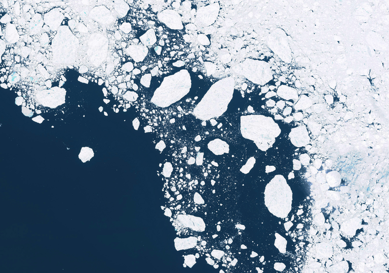 Por qu&eacute; la Ant&aacute;rtida se est&aacute; "volviendo verde": las im&aacute;genes satelitales que sorprenden a los expertos