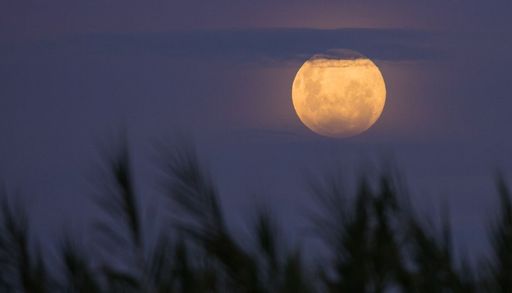 Luna del Cazador 2026: el origen de su nombre y cu&aacute;ndo verla en Chile