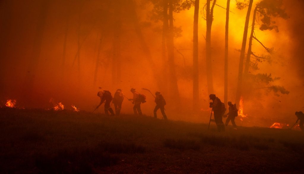 Incendios forestales El trabajo analizó cómo las herramientas matemáticas pueden ayudar a tomar mejores decisiones antes, durante y después de un incendio.