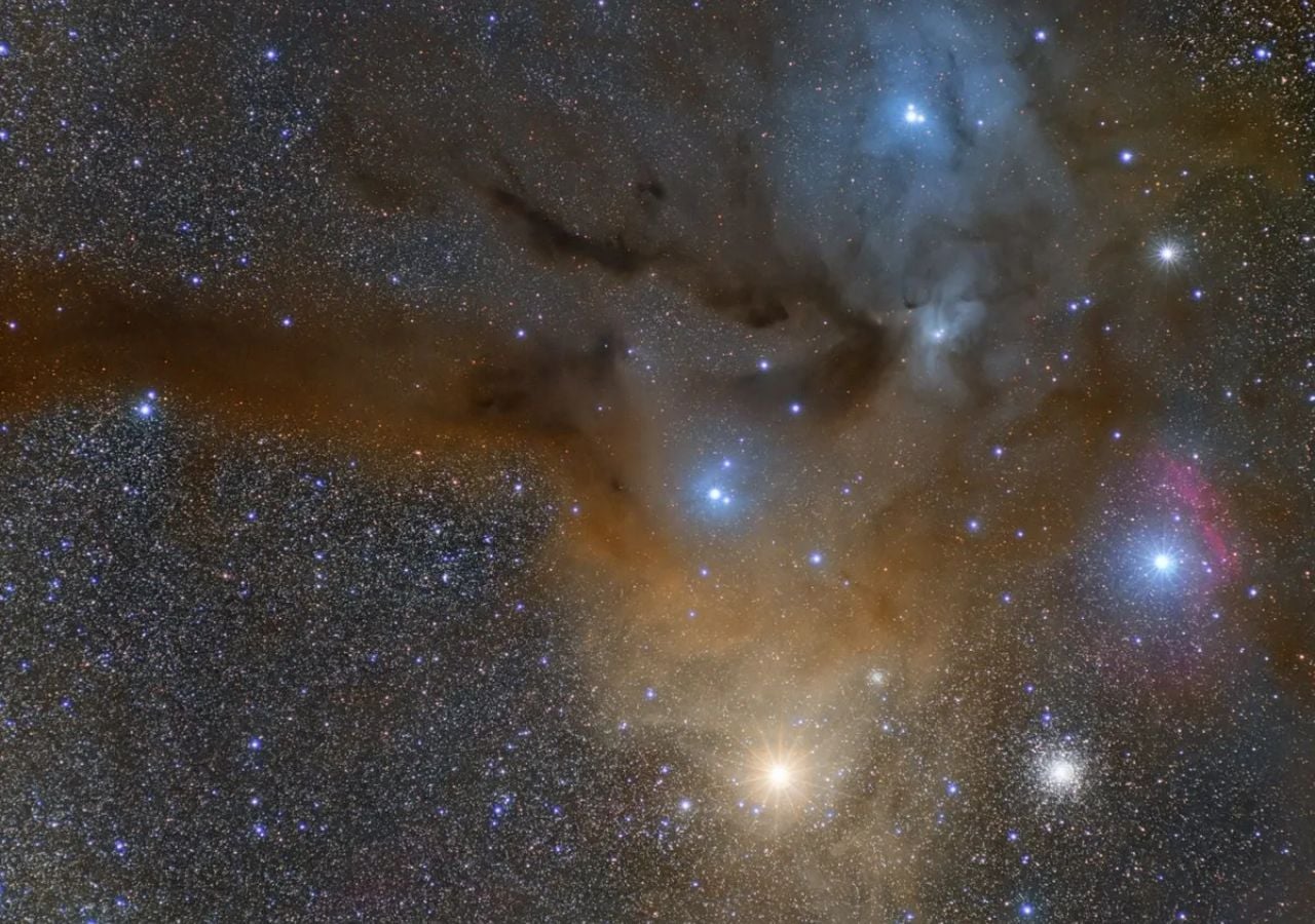 Las coloridas estrellas de la Región de Antares. Crédito: Rafael Compassi