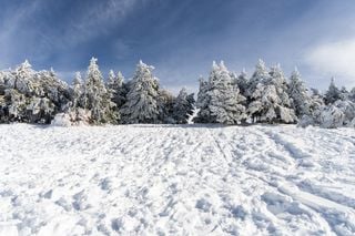 ¿Por qué las temperaturas más bajas se registran con nieve en el suelo?