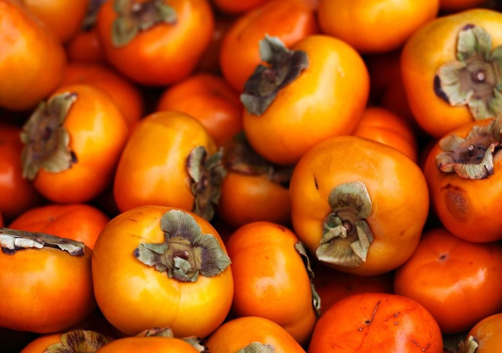 Si el precio en origen cae por debajo de determinados umbrales, la decisión empresarial es que no compensa recoger