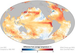 Por que o fenômeno El Niño não para de ser declarado oficialmente? Ultimas atualizações!