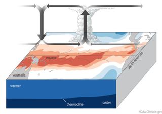 ¿Por qué no termina de declararse oficialmente el fenómeno de El Niño? ¡Últimas actualizaciones!