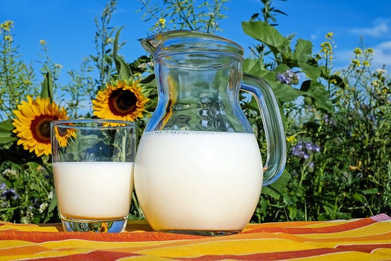 Algunos alimentos ricos en vitamina D son los lácteos, los huevos y el pescado azul. Algunos alimentos ricos en vitamina D son los lácteos, los huevos y el pescado azul.