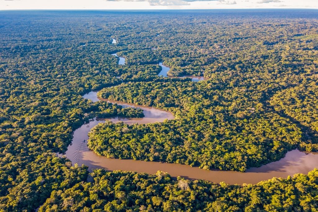 Rios, amazonas, Brasil