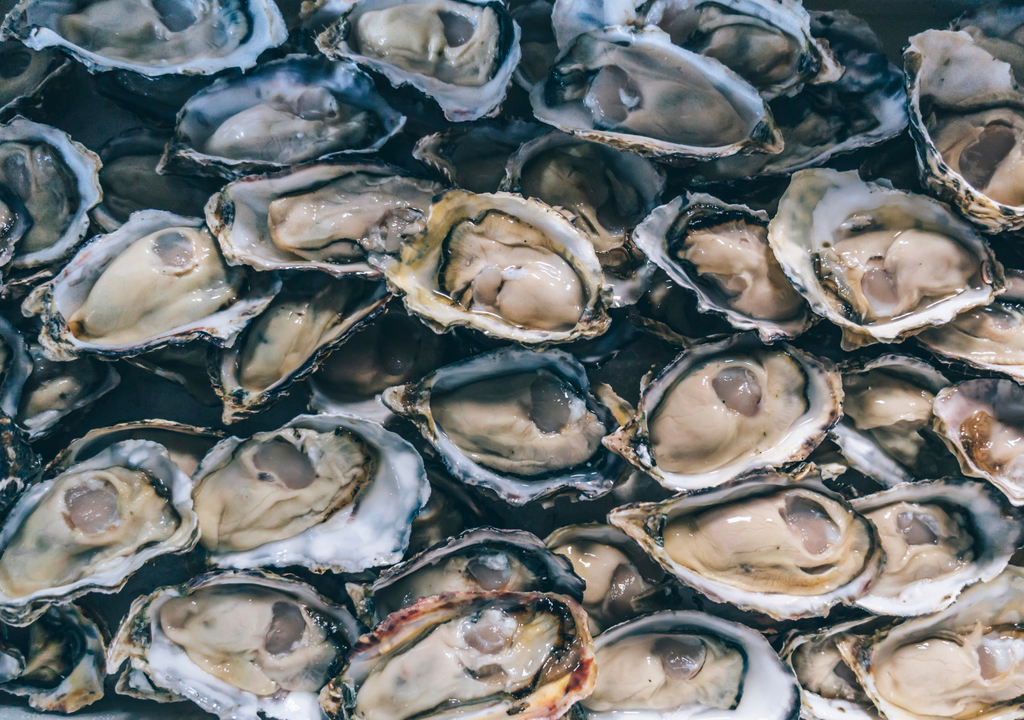 El aumento de la temperatura del mar y la acidificación oceánica están afectando a ostras y mejillones mediterráneos, poniendo en riesgo su crecimiento, reproducción y disponibilidad futura como alimento. El aumento de la temperatura del mar y la acidificación oceánica están afectando a ostras y mejillones mediterráneos, poniendo en riesgo su crecimiento, reproducción y disponibilidad futura como alimento.