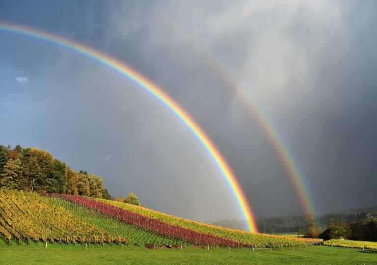 banda, alejandro, arco iris, naturaleza, luz, optica, reflexion banda, alejandro, arco iris, naturaleza, luz, optica, reflexion
