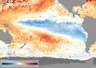 ¿Por qué se llaman El Niño y La Niña? Los fenómenos que alborotan el clima mundial