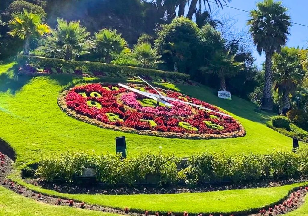 Reloj de Flores