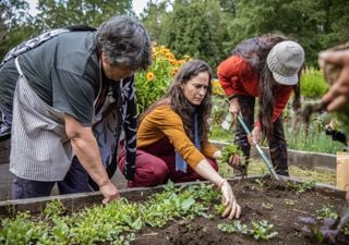 Porotarium Austral: mujeres revitalizando la diversidad de los porotos del sur de Chile