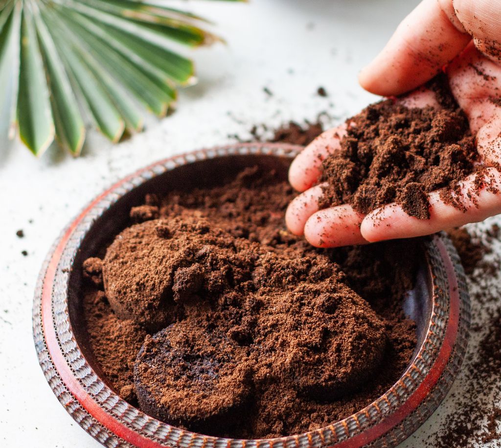 A borra de café tem poderes muito importantes para o crescimento das plantas.  A borra de café pode ser usada como fertilizante para plantas.