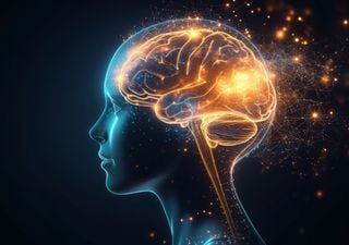 ¿Por qué pensamos demasiado? Según nuevo estudio, son las partes antiguas y modernas de nuestro cerebro las que hablan