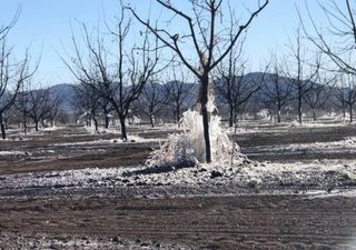 Medición de horas frío: ¿porqué son necesarias las bajas temperaturas para el campo mexicano?